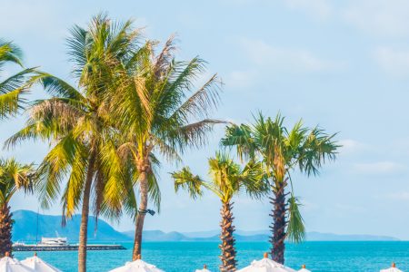 5-Day Trip to Hurghada – Includes Breakfast & Lunch for 4 People